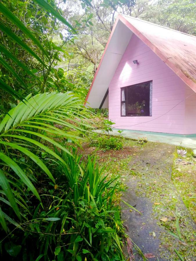 Cabanas Las Orquideas Zapotal  Room photo