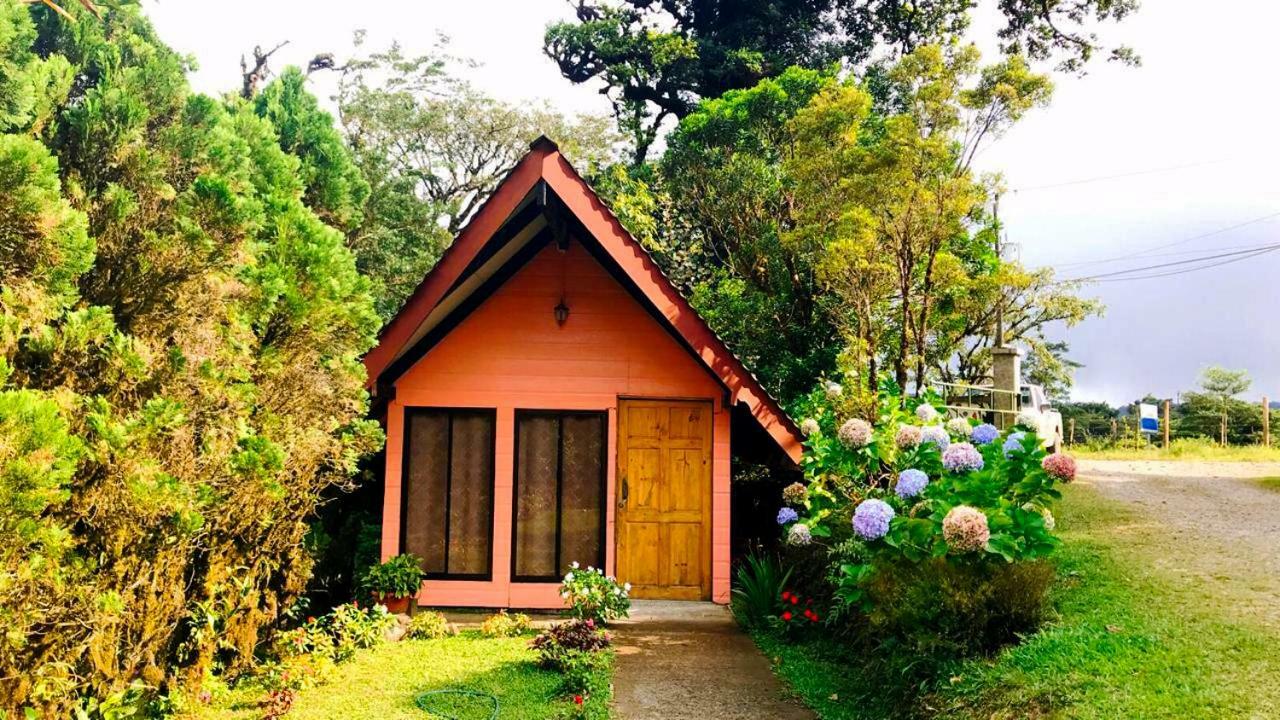 Cabanas Las Orquideas Zapotal  Room photo