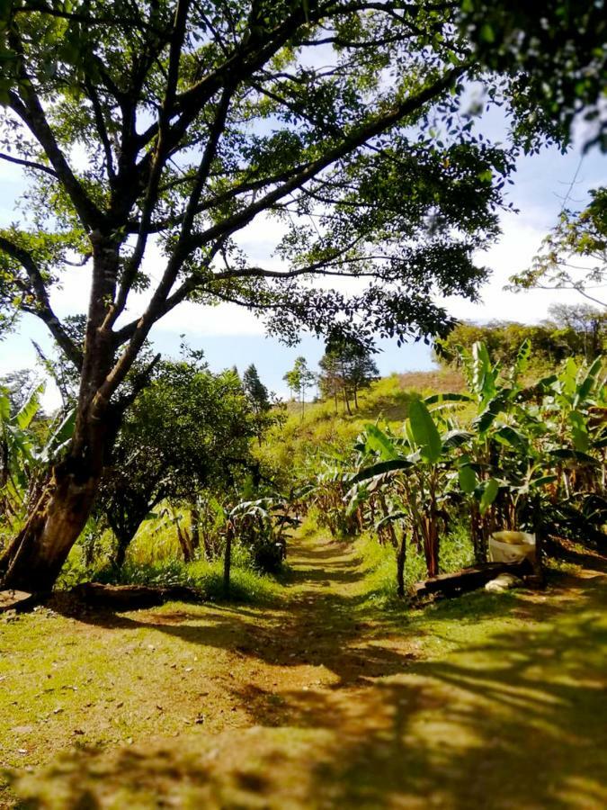Cabanas Las Orquideas Zapotal  Exterior photo