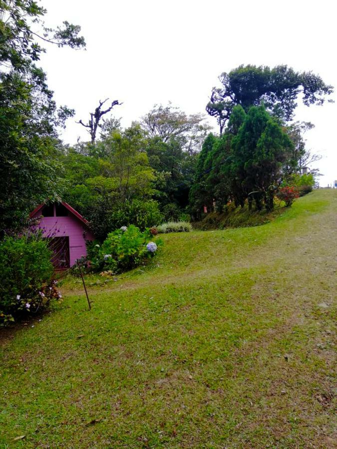 Cabanas Las Orquideas Zapotal  Exterior photo